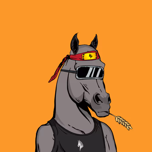 Arabian Horse 2