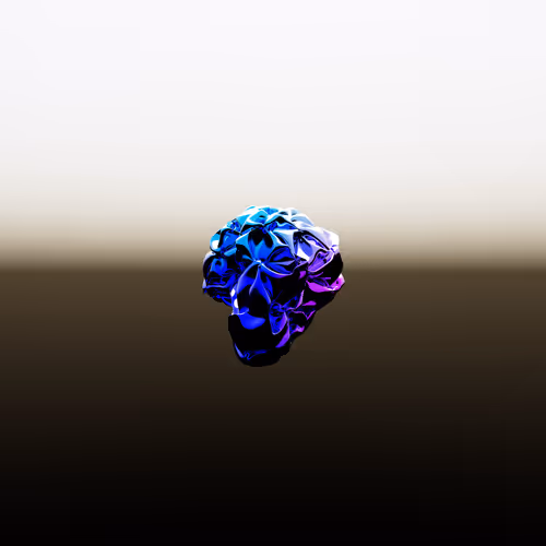 Item #100006 Media
