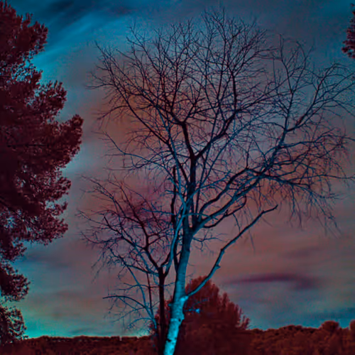 Eternal tree