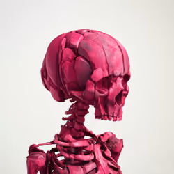 #100 Variant