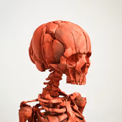 #94 Variant