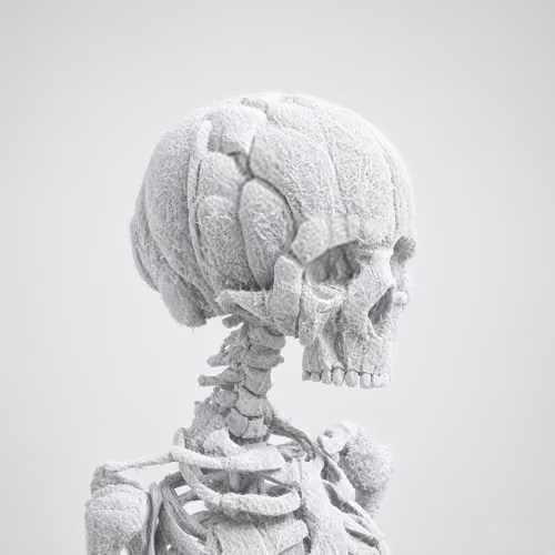#6 Variant
