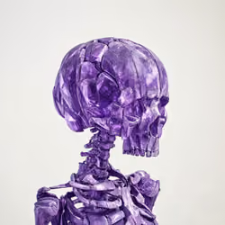 #44 Variant