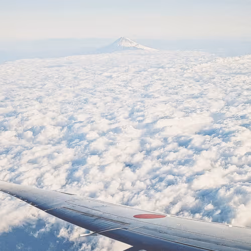 Pinksinkorigins Fuji