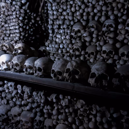 Postcards for the Future