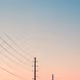 Desert Strings