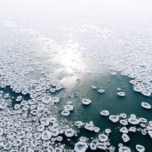 Frozen Forms