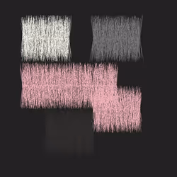 81