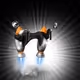 621