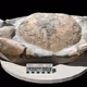 Mamlambo Fossils