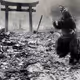 GOJIRA ATTACK