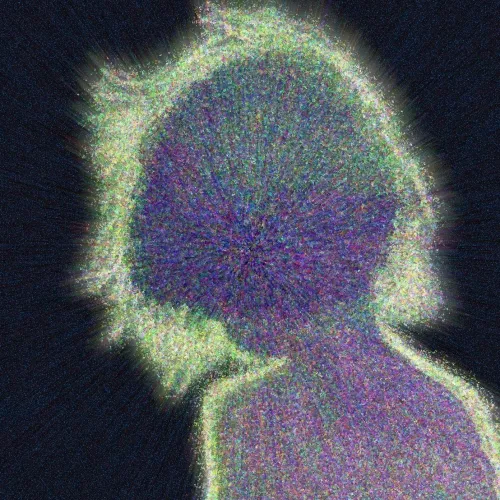 " IͶͶΣЯ C͓̽H̳I⅃D͓̽ "