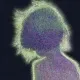 " IͶͶΣЯ C͓̽H̳I⅃D͓̽ "