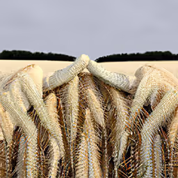 Infinite Images ∞ 657