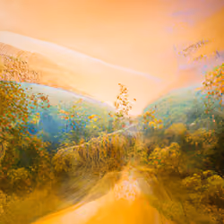 Infinite Images ∞ 534