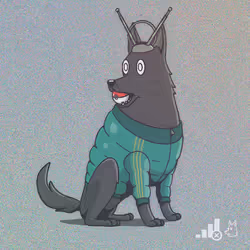 WOOFies #243
