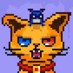 135