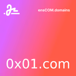 0x01.com