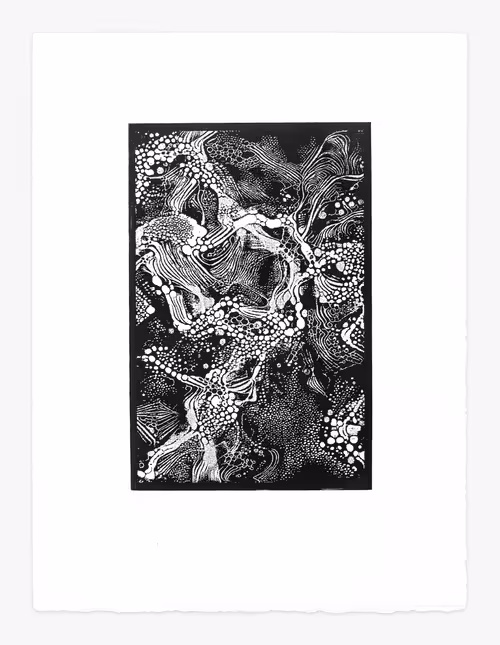 Item #1328465538 Media