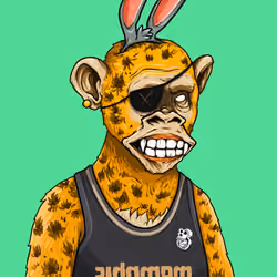 NBAYC #1114