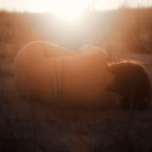 Skuzmin Photography 11
