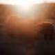 SKUZMIN PHOTOGRAPHY 11