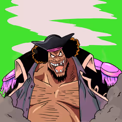43