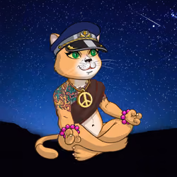 Karma Cat #4286