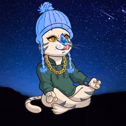 Karma Cat #2946