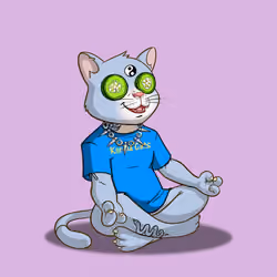 Karma Cat #2365