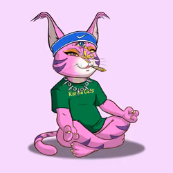 Karma Cat #3168