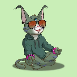 Karma Cat #455