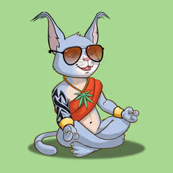 Karma Cat #5258