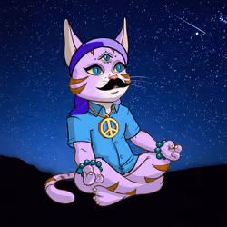 Karma Cat #580
