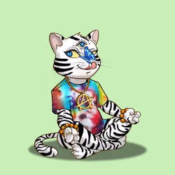 Karma Cat #3047