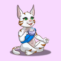 Karma Cat #4231