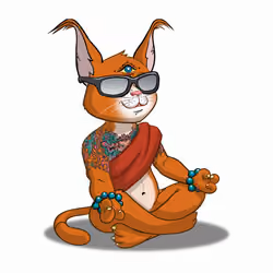 Karma Cat #4822