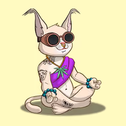 Karma Cat #1072