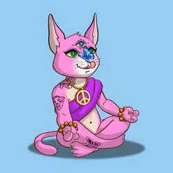 Karma Cat #2405