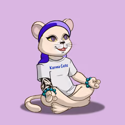Karma Cat #4240