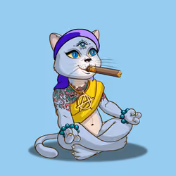 Karma Cat #3155