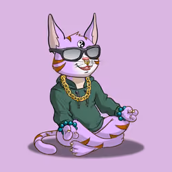 Karma Cat #4069