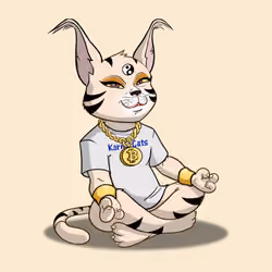 Karma Cat #3745