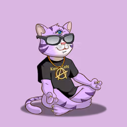 Karma Cat #3647