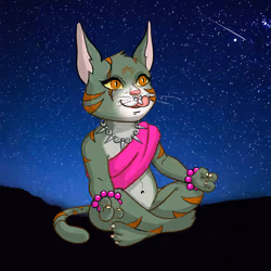 Karma Cat #2616