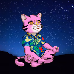 Karma Cat #2406