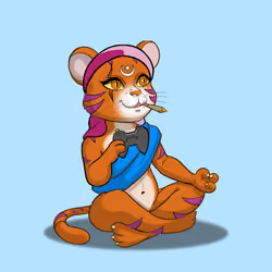Karma Cat #2640