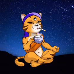 Karma Cat #5127