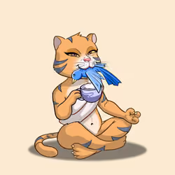 Karma Cat #323