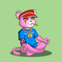 Karma Cat #5466